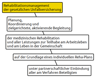 rehamanagementschema